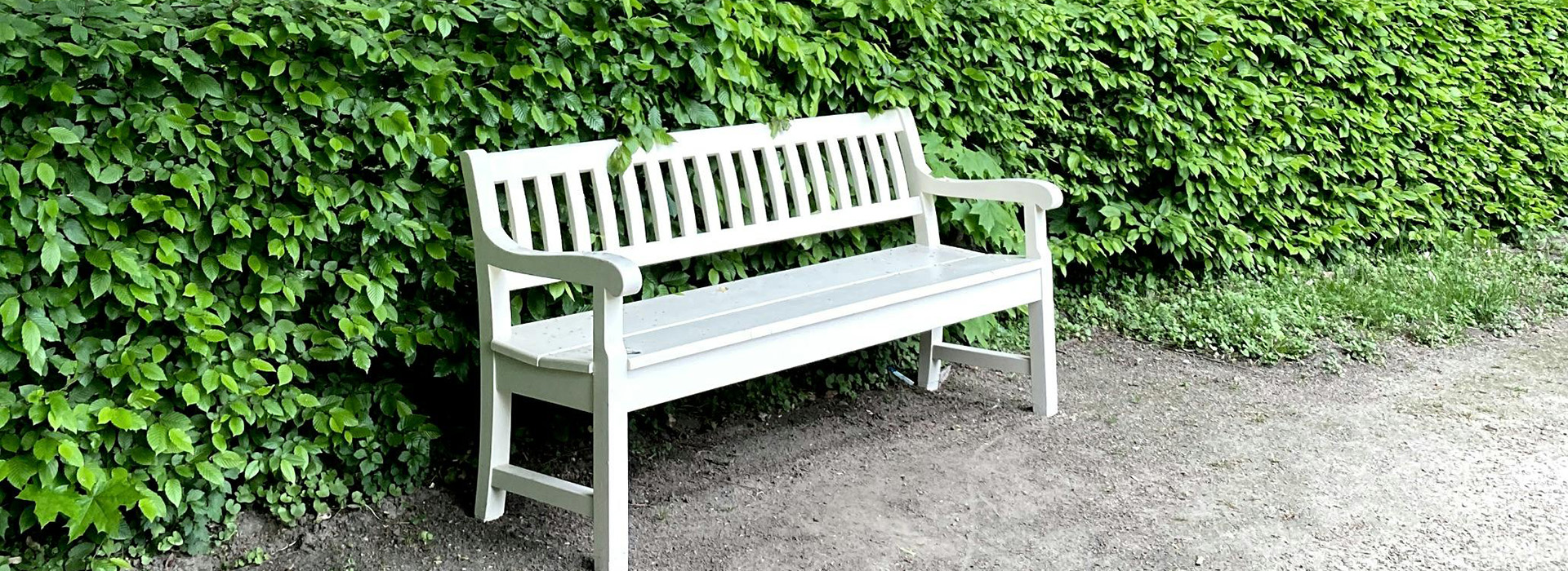 Tuinmeubilair 25 Tuinmeubilair -Tuinmeubilair pexels maryiaplashchynskaya 7922890